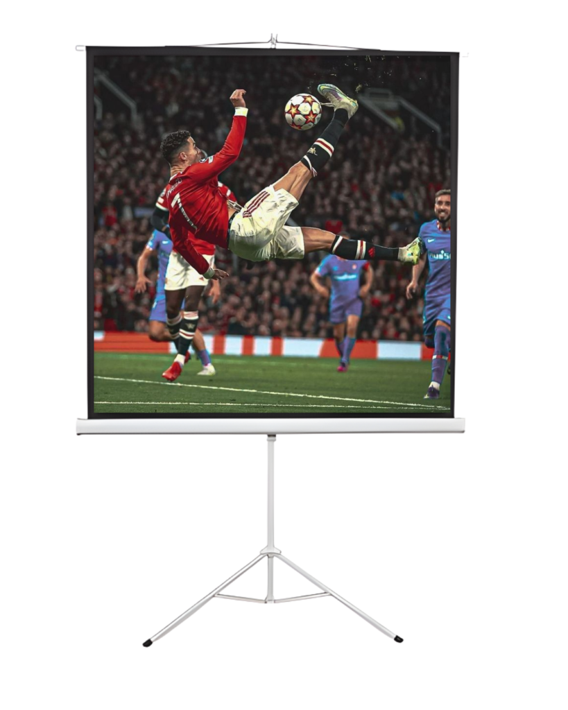 perde projektori murale 210x210 cm