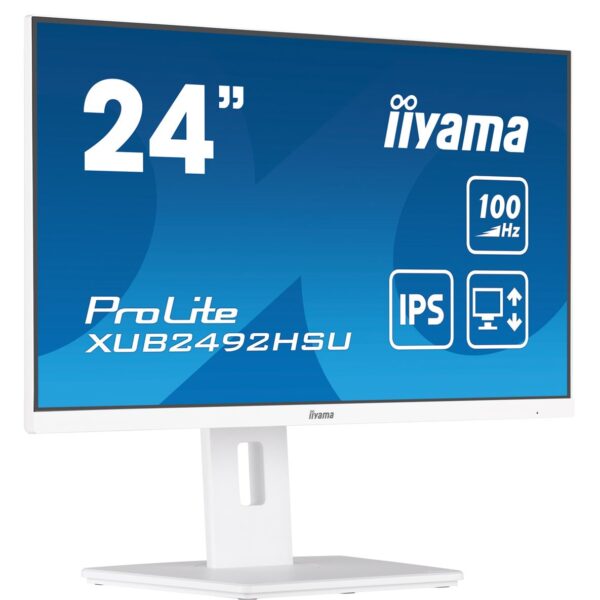 iiyama prolite 24"