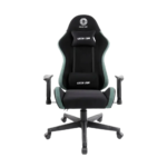 green lion gaming chair, ergonomic design, adjustable height, lumbar support, steel base, new